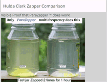 Tablet Screenshot of best-zapper.com